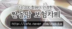 짠돌맘보험카페