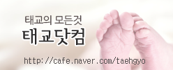 태교닷컴