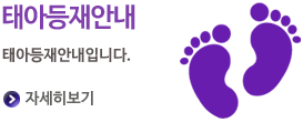 태아등재안내